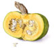 Zucca n. 1