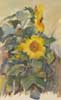 Girasoli
